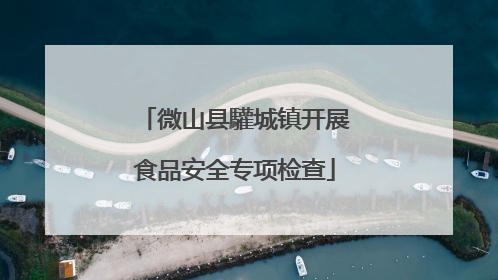 微山县驩城镇开展食品安全专项检查